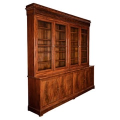 Antique French 19th Century Louis Philippe Mahogany Bibliotheque
