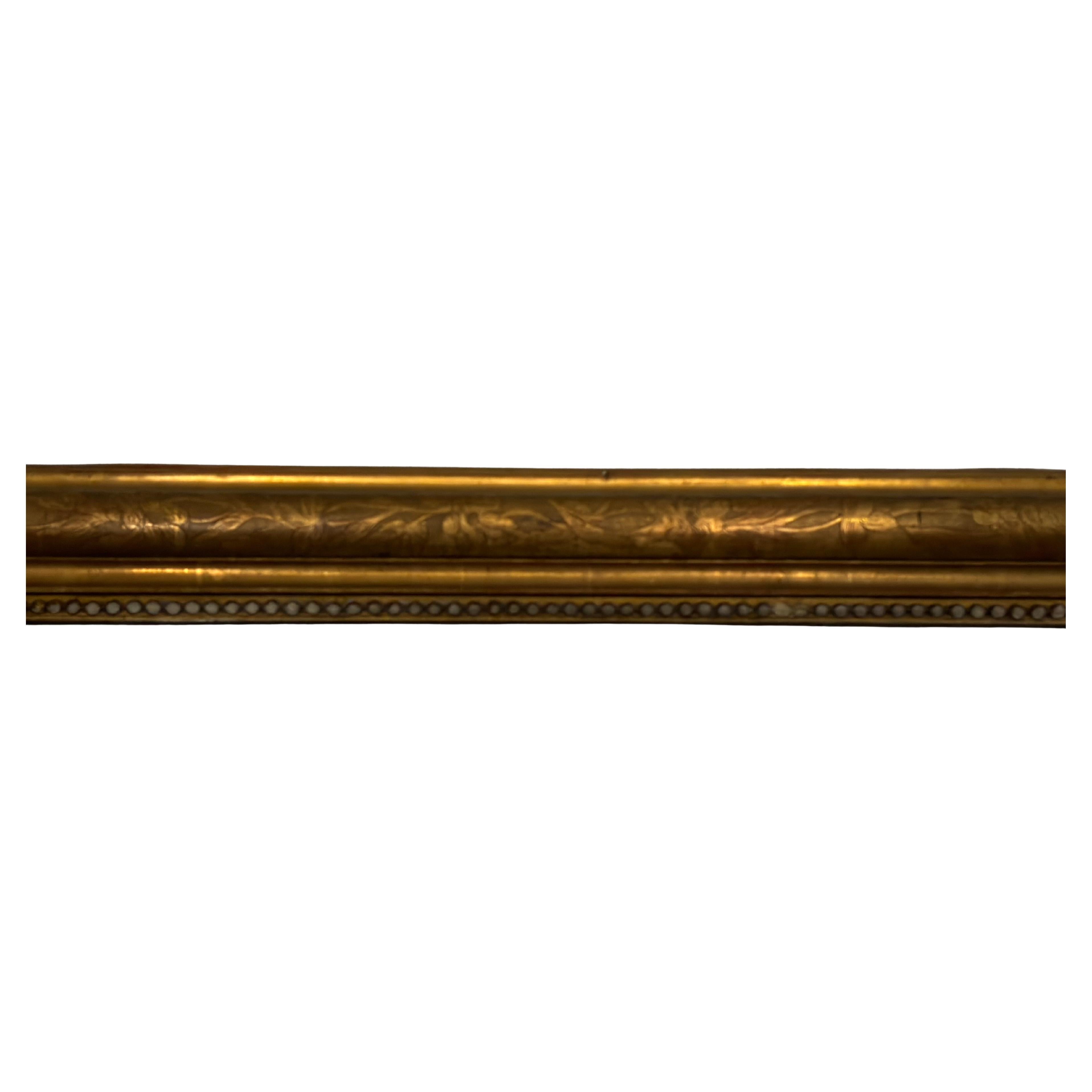 Vetro mercurizzato Specchio francese del XIX secolo Louis Philippe in vendita