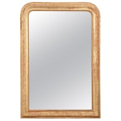 French 19th Century Louis Philippe Mirror
