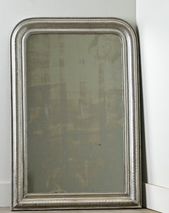 French 19th Century Louis Philippe Silver Gilt Mirror