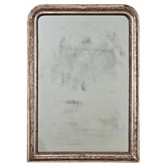 French 19th Century Louis Philippe Silver Gilt Mirror