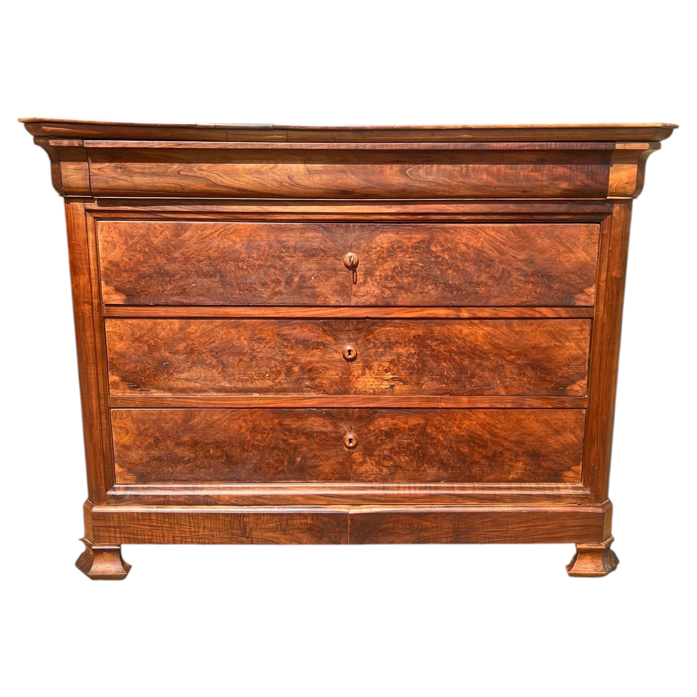 Cassettone in noce massiccio francese del XIX secolo di Louis Philippe in vendita