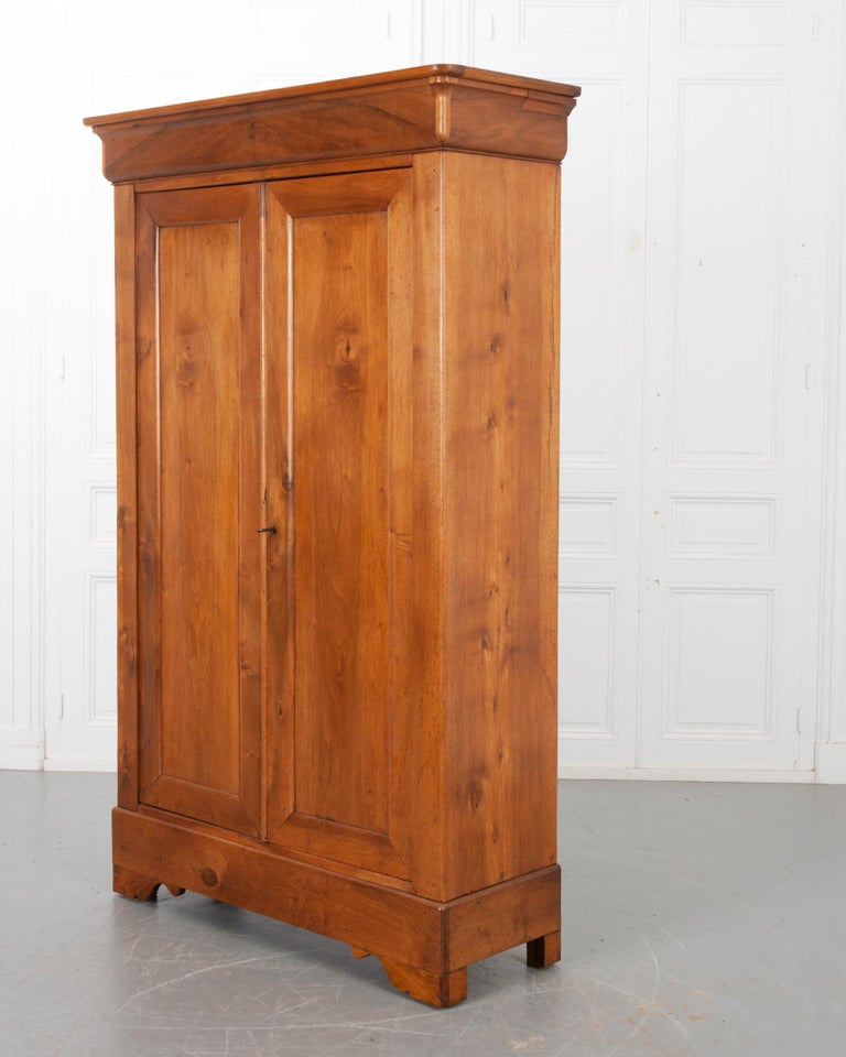 French 19th Century Louis Philippe Style Armoire at 1stDibs