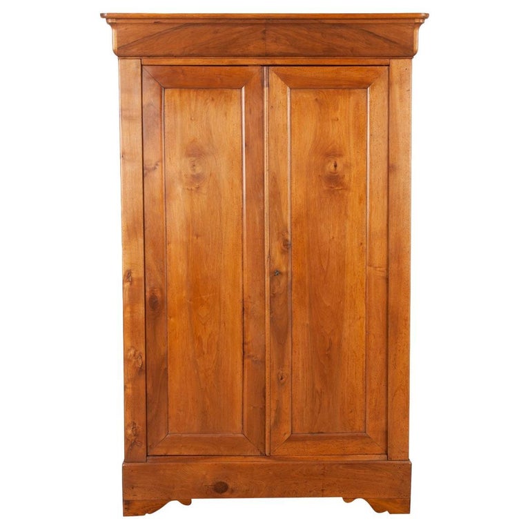 French 19th Century Louis Philippe Style Armoire For Sale at 1stDibs