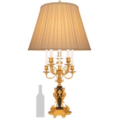 French 19th Century Louis XIV St. Patinated Bronze and Ormolu Candelabra Lamp