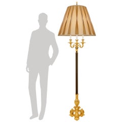 French 19th century Louis XIV st. patinated Bronze and Ormolu floor lamp