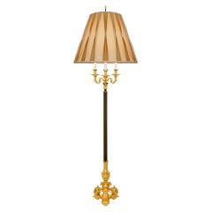 French 19th century Louis XIV st. patinated Bronze and Ormolu floor lamp