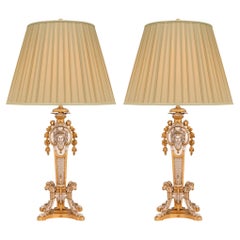 French 19th Century Louis XIV Style Ormolu and Silvered Bronze Lamps