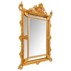 French 19th Century Louis XV St. Double Framed Giltwood Mirror