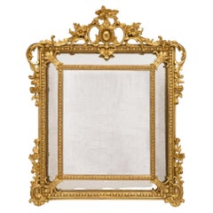 French 19th Century Louis XV St. Double Framed Giltwood Mirror