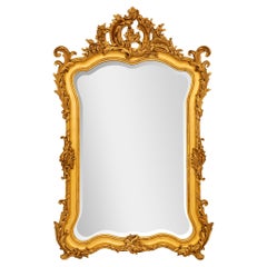 French 19th Century Louis XV St. Giltwood Mirror