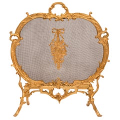 French 19th Century Louis XV St. Ormolu and Mesh Fire Screen