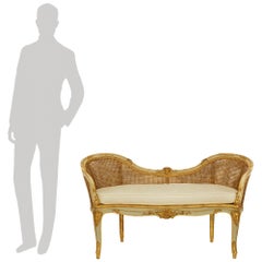 French 19th century Louis XV st. patinated and Giltwood bench/settee