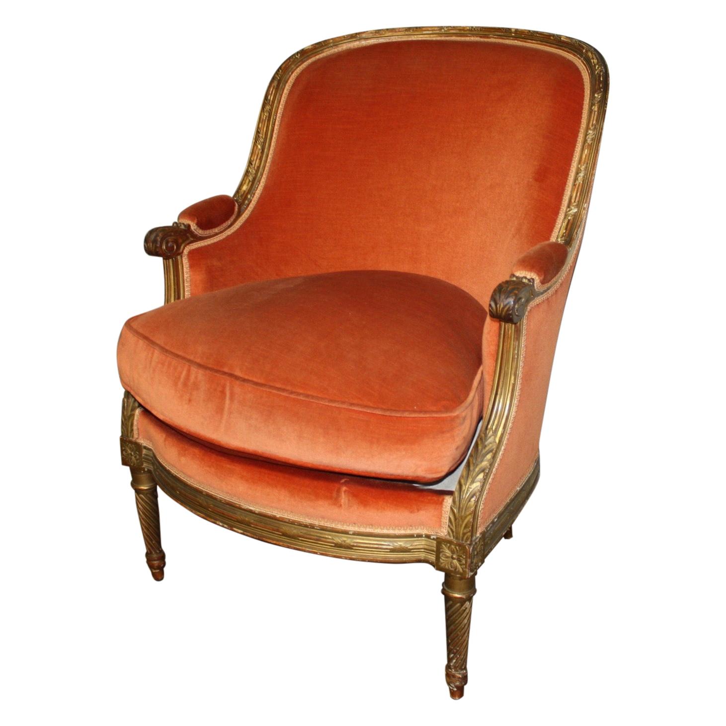 French 19th Century Louis XVI Bergere Chair