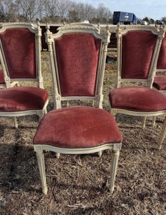 French 19th Century Louis XVI Dining Chairs - Set of 6