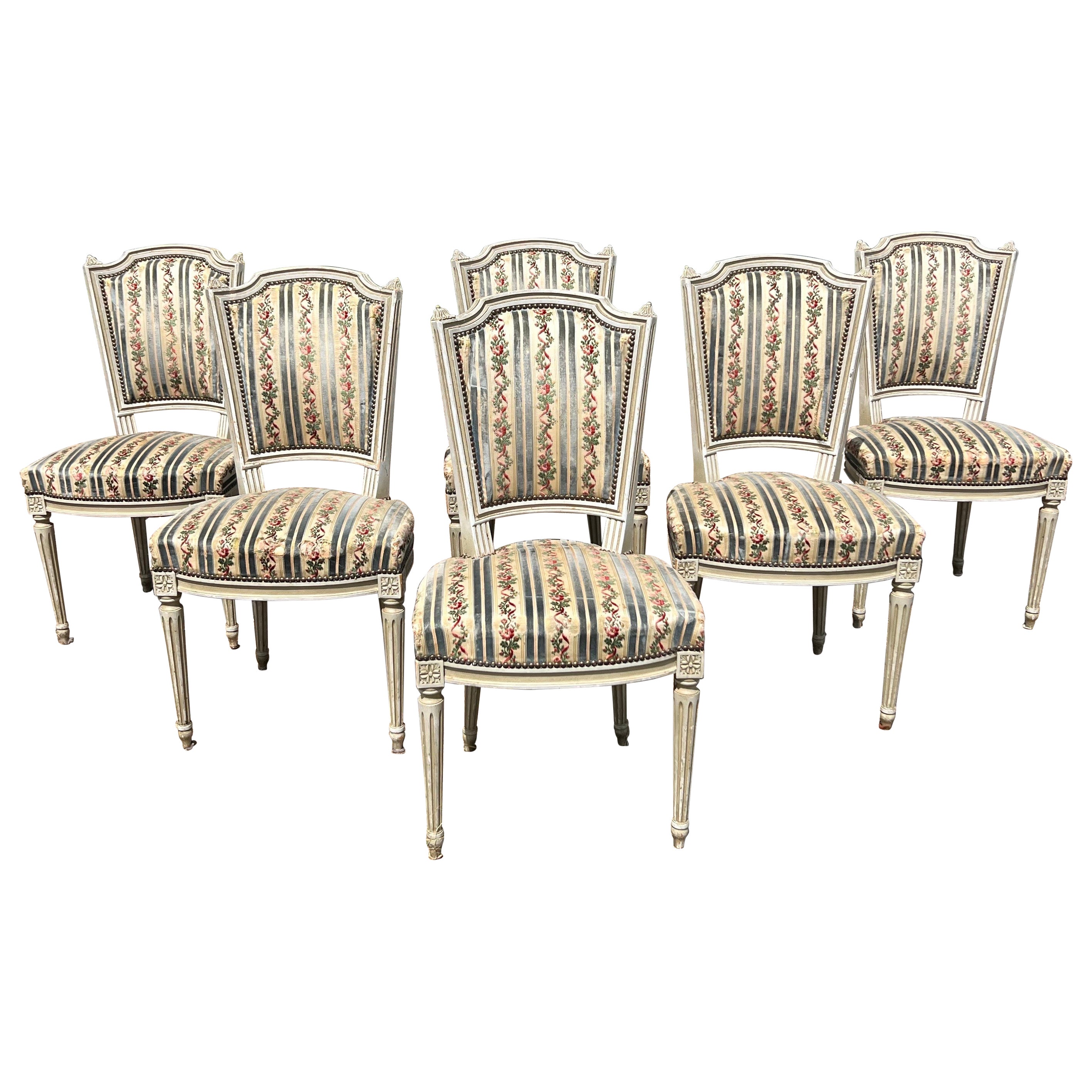 French 19th Century Louis XVI Dining Chairs - Set of 6