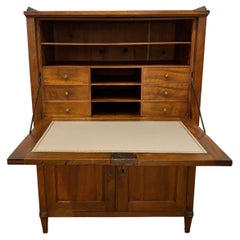 Antique French 19th Century Louis XVI Secretaire