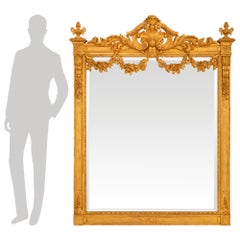 French 19th century Louis XVI st. Giltwood mirror