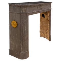 French 19th Century Louis XVI St. Gris St. Anne Marble Mantel