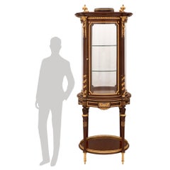 French 19th Century Louis XVI St. Mahogany, Ormolu, Bronze and Glass Vitrine