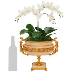 French 19th century Louis XVI st. Onyx and Ormolu urn/centerpiece