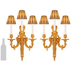 French 19th century Louis XVI st. Ormolu sconces
