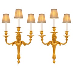 French 19th century Louis XVI st. Ormolu sconces