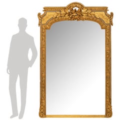 French 19th Century Louis XVI St. Patinated And Giltwood Mirror