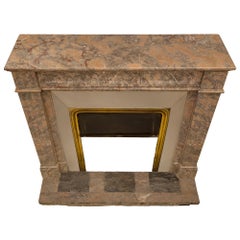 French 19th Century Louis XVI St. Sarrancolin and Marble Fireplace Mantel