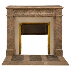 French 19th Century Louis XVI St. Sarrancolin and Marble Fireplace Mantel