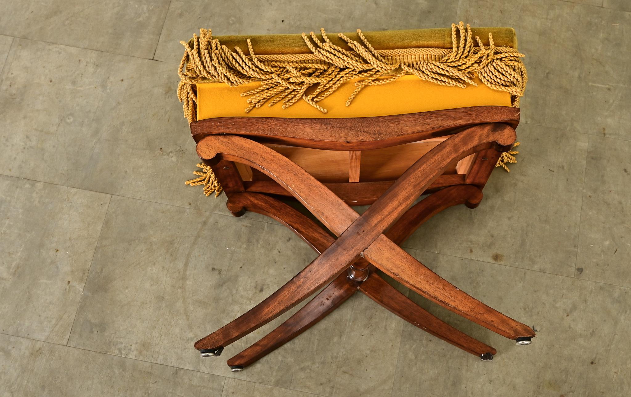 French 19th Century Mahogany and Velvet Footstool 4