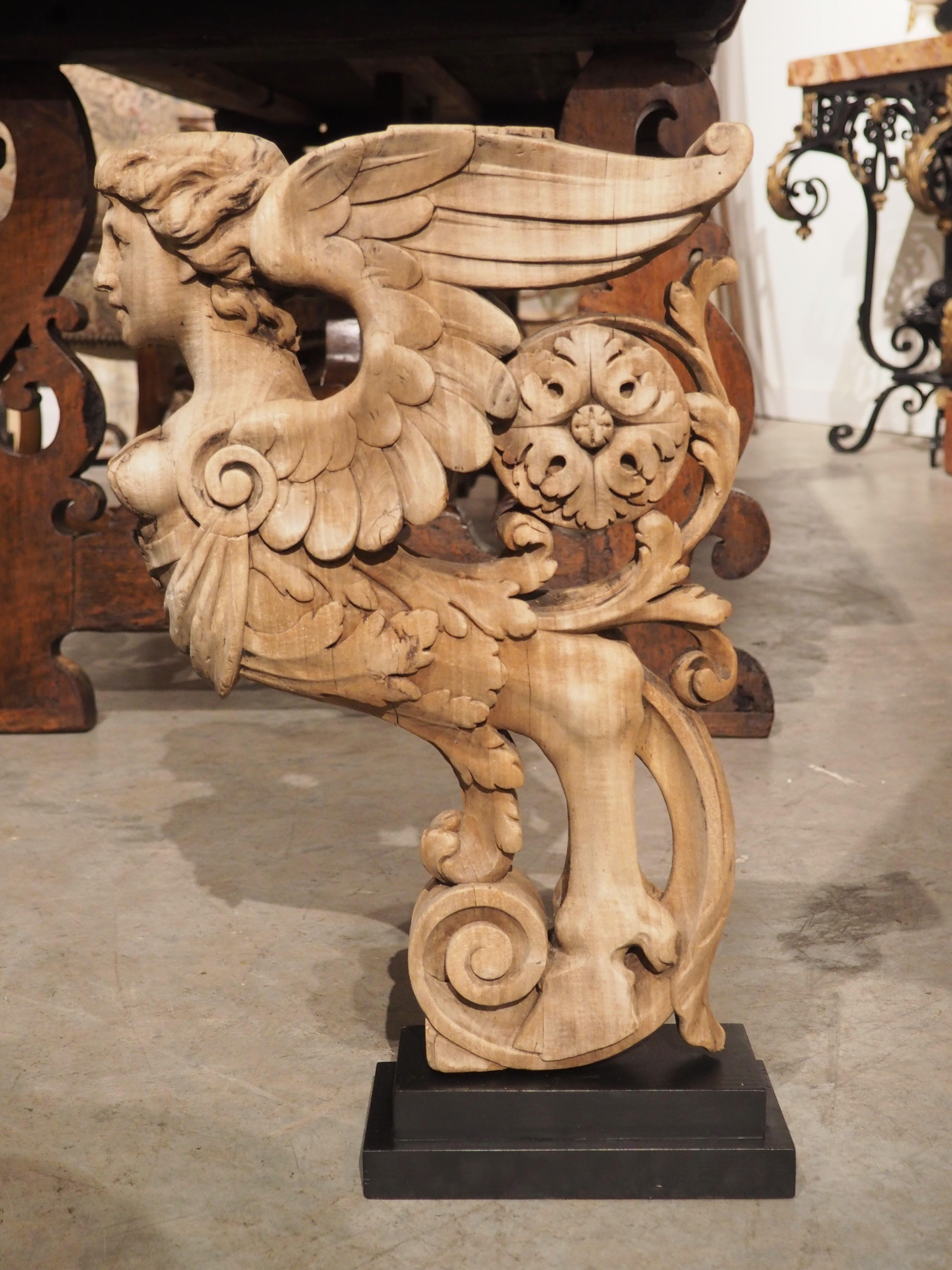French, 19th Century Mounted Carving of a Winged Mythological Figure 9