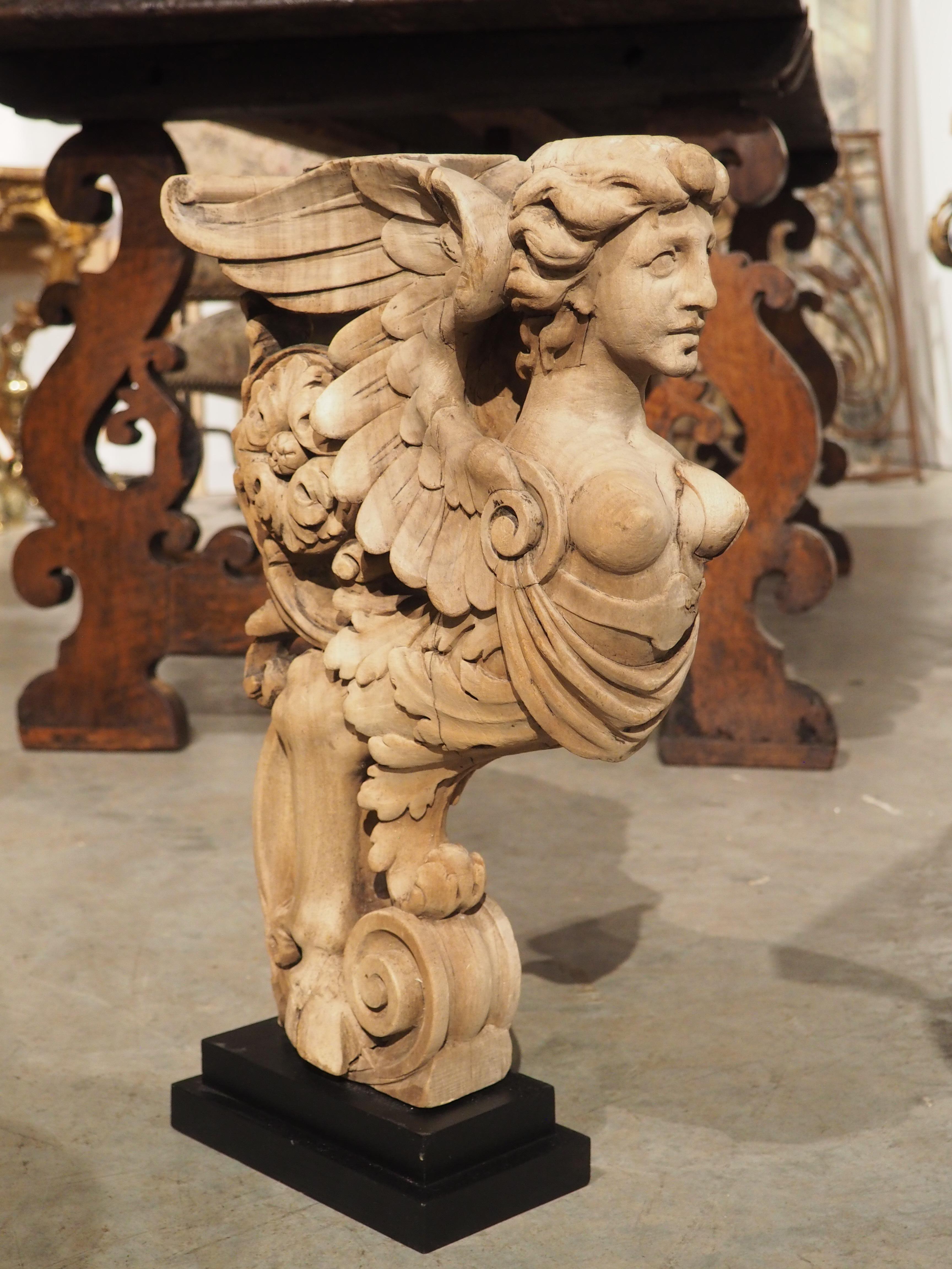 French, 19th Century Mounted Carving of a Winged Mythological Figure 11