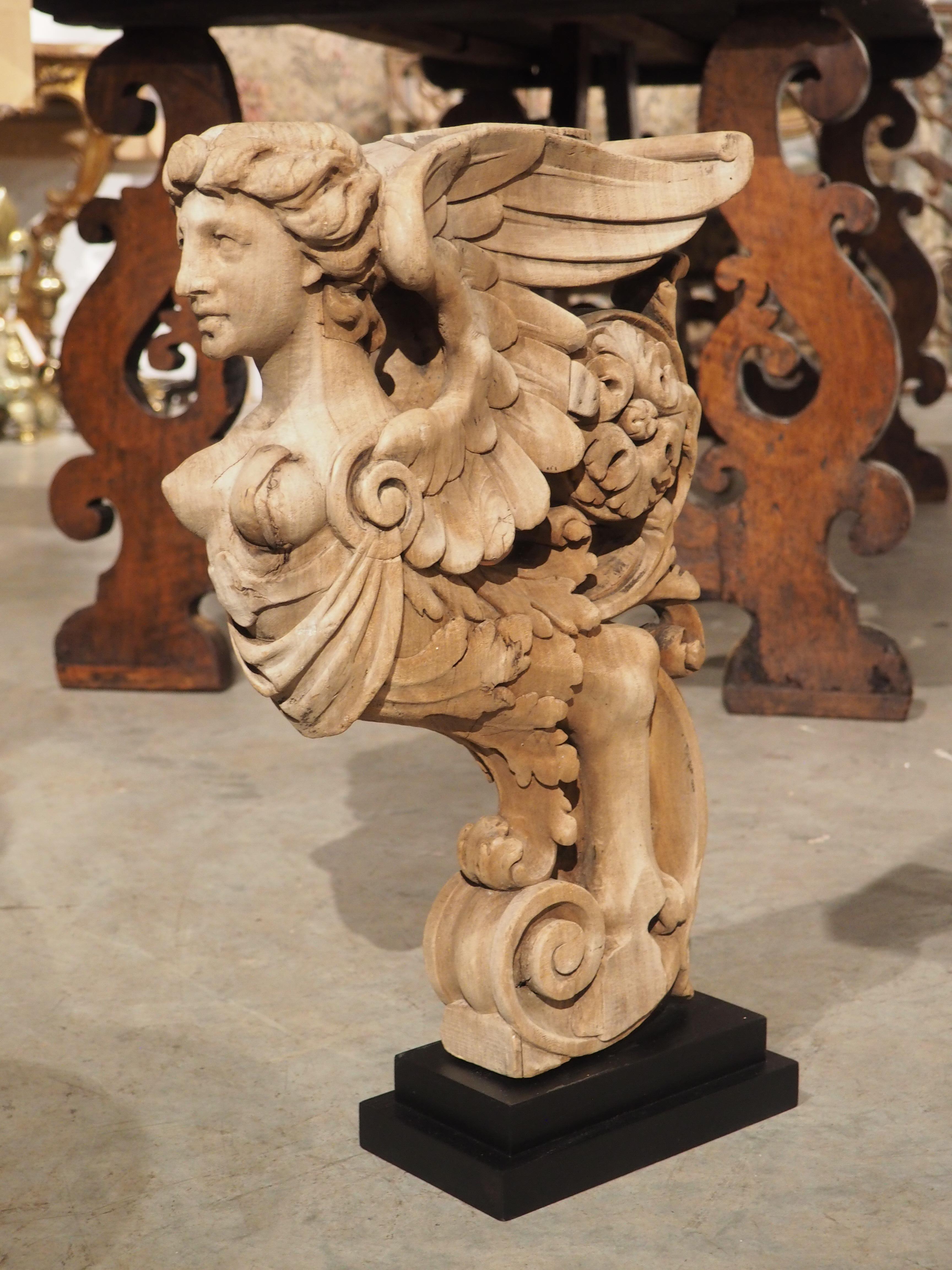 Originally a caryatid of a larger installation, this winged mythological figure was hand-carved in France during the 1800’s. Most likely a pilaster to a large case piece, the figure has been mounted to a more recent molded base that has been painted