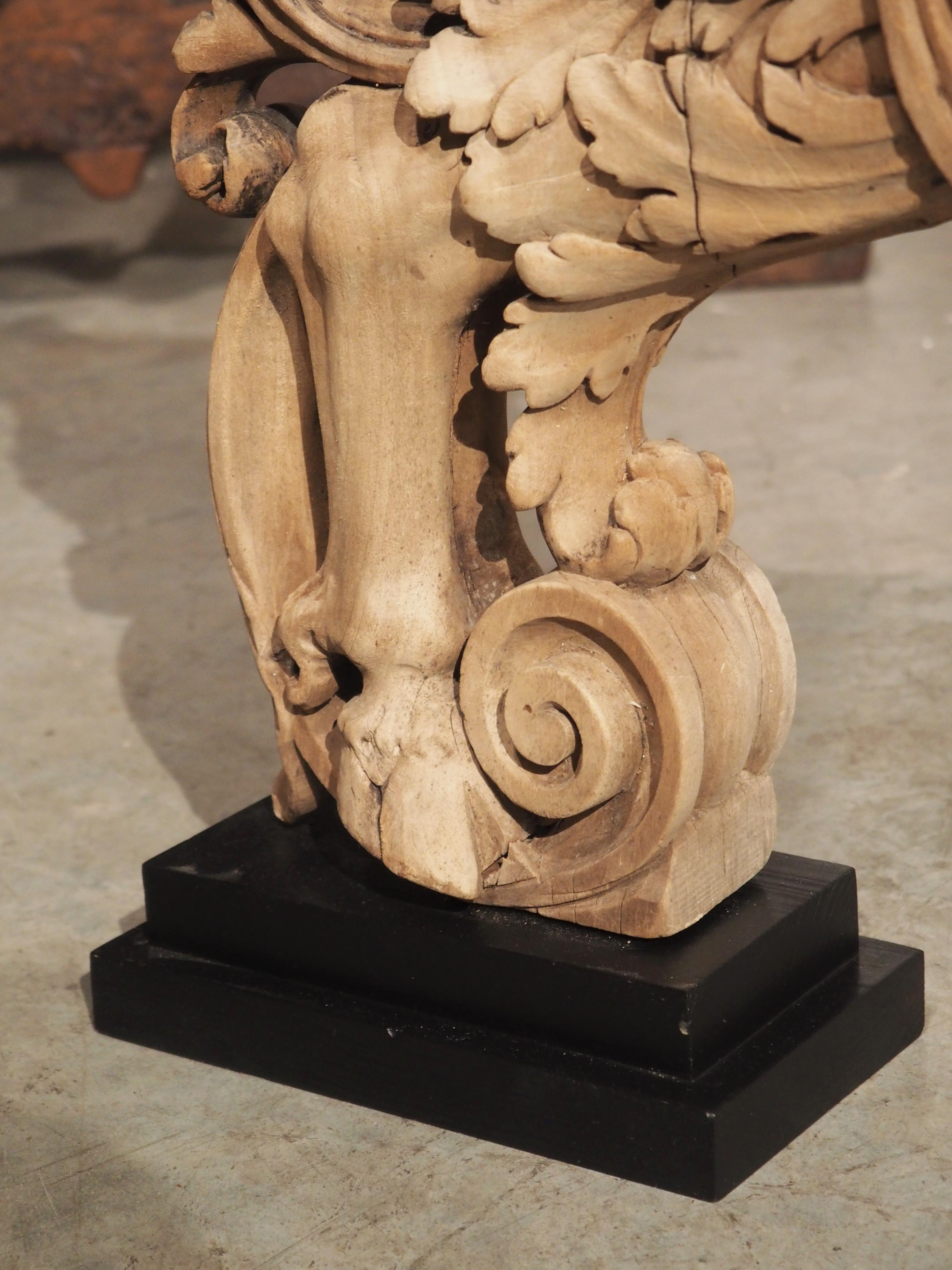French, 19th Century Mounted Carving of a Winged Mythological Figure 2
