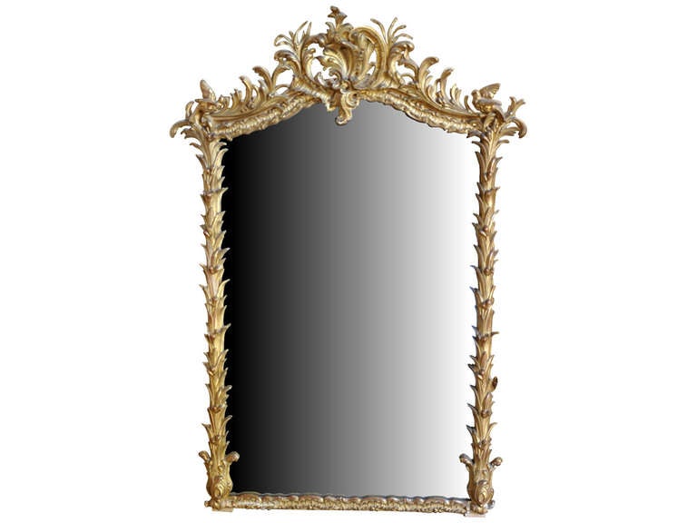 Stunning French 19th century Napoleon III period giltwood mirror. Beautiful carving detail.

  