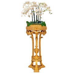 French 19th century Napoleon III Period Louis XVI st. Ormolu planter