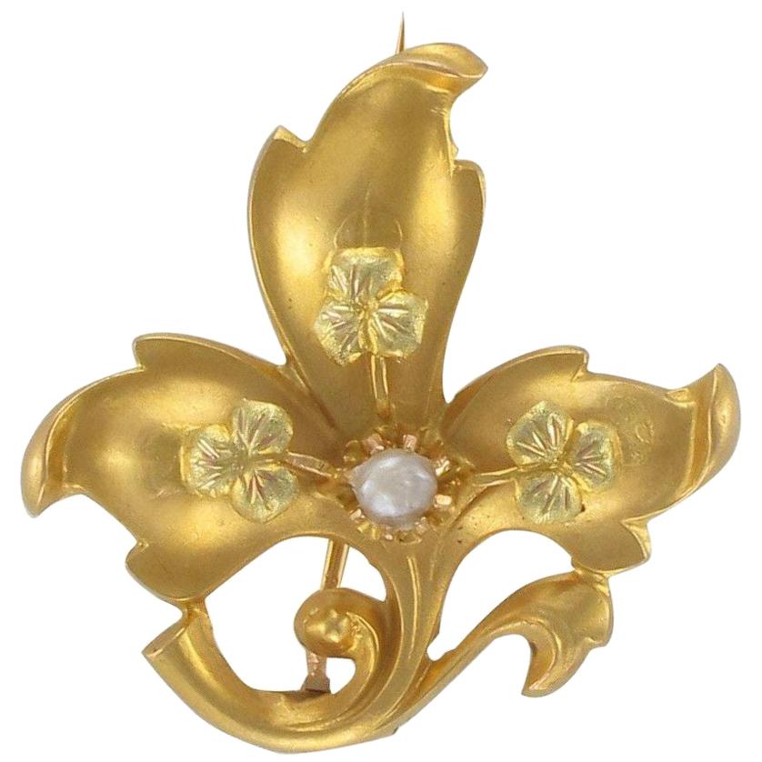 French 19th Century Natural Pearl 18 Karat Yellow Gold Lily Flower Brooch