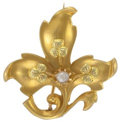 French 19th Century Natural Pearl 18 Karat Yellow Gold Lily Flower Brooch