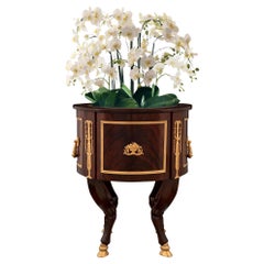 French 19th Century Neoclassical Style Mahogany and Ormolu Jardinière Planter