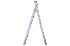 French 19th Century Orchard Ladder