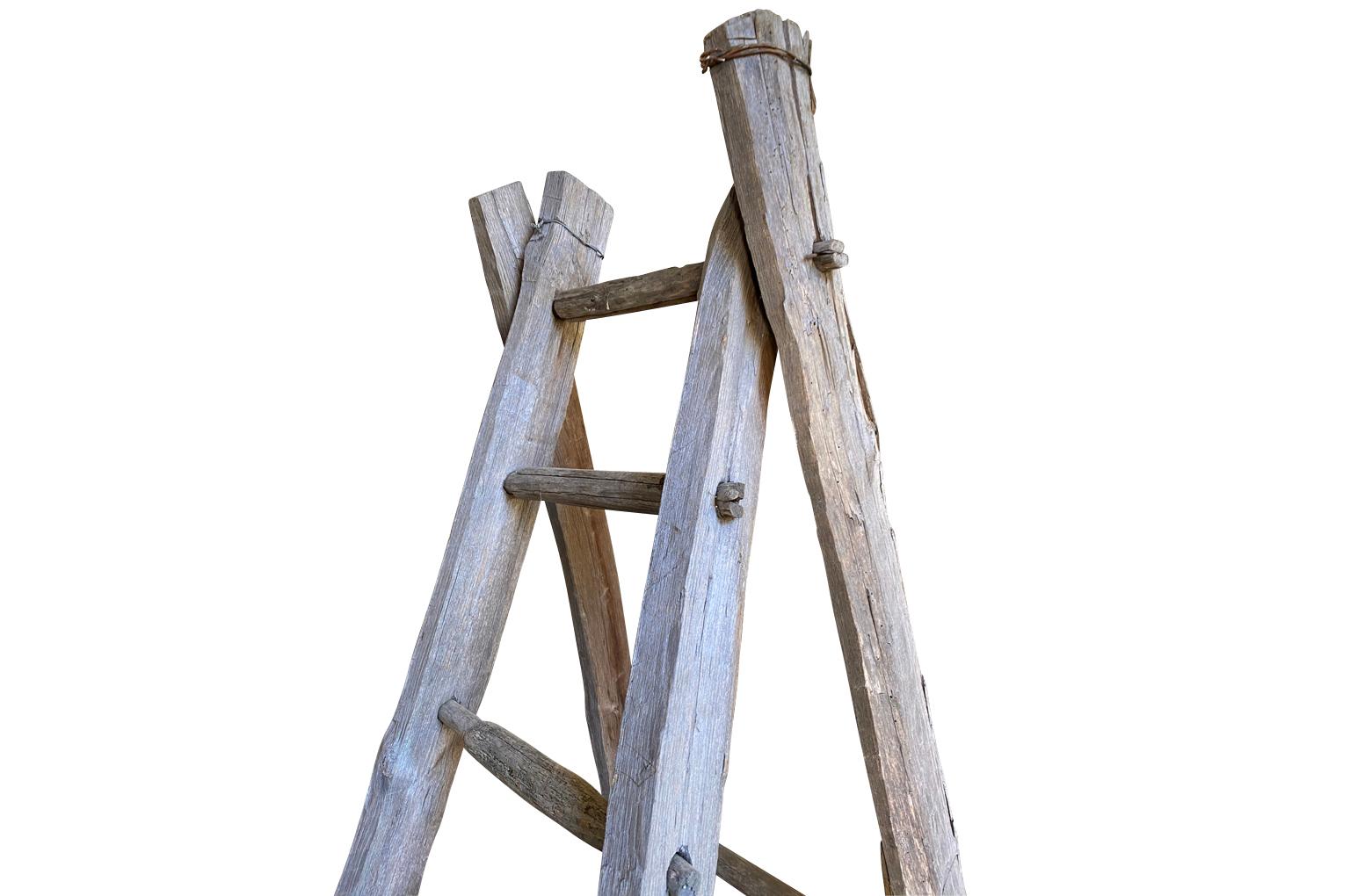 old wooden orchard ladders for sale