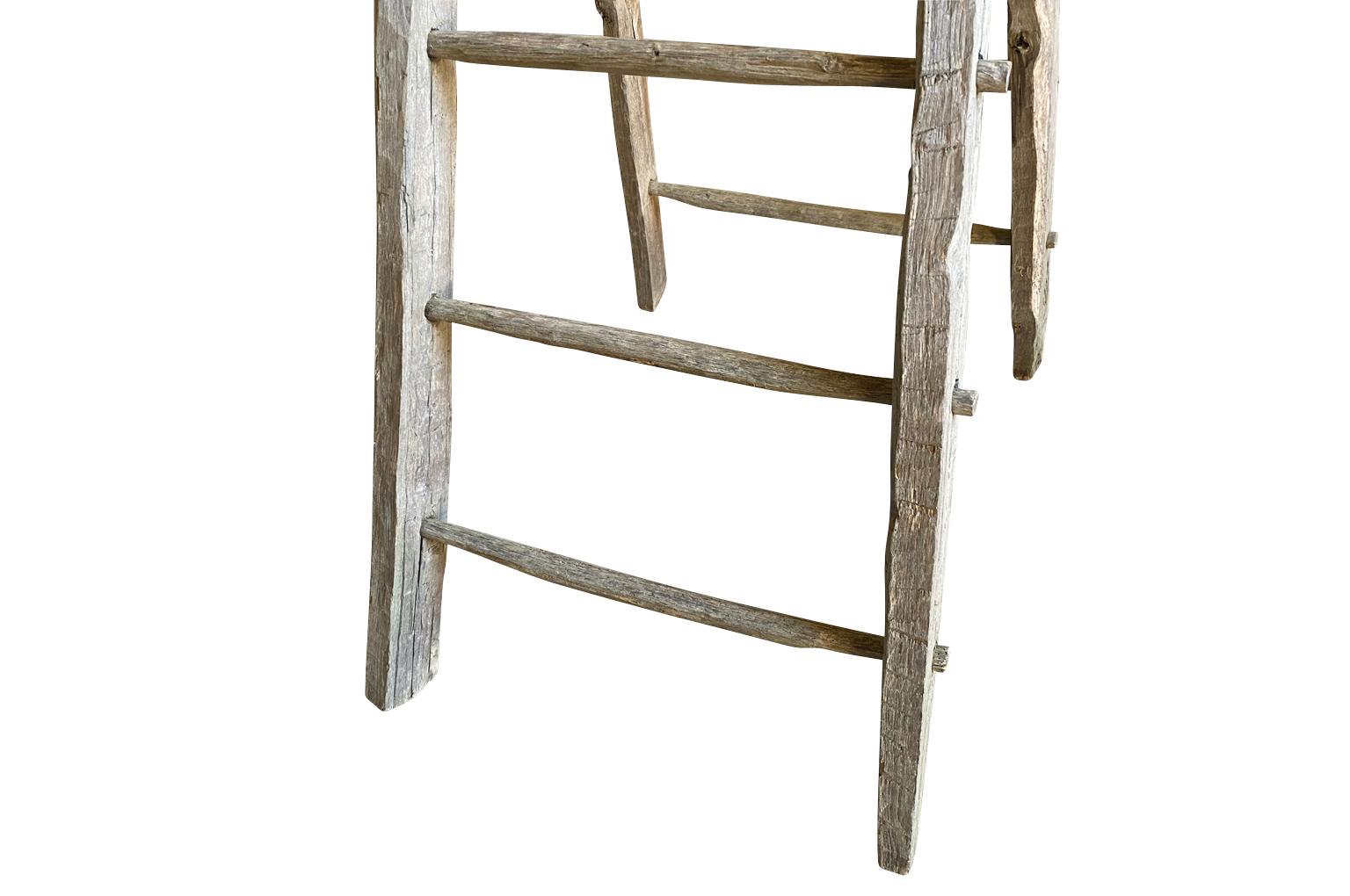 Wood French 19th Century Orchard Ladder For Sale