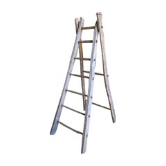 French 19th Century Orchard Ladder