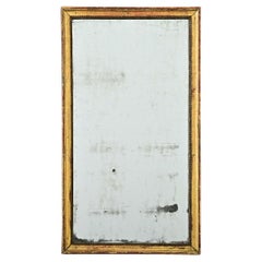Specchio francese del XIX secolo dipinto e dorato