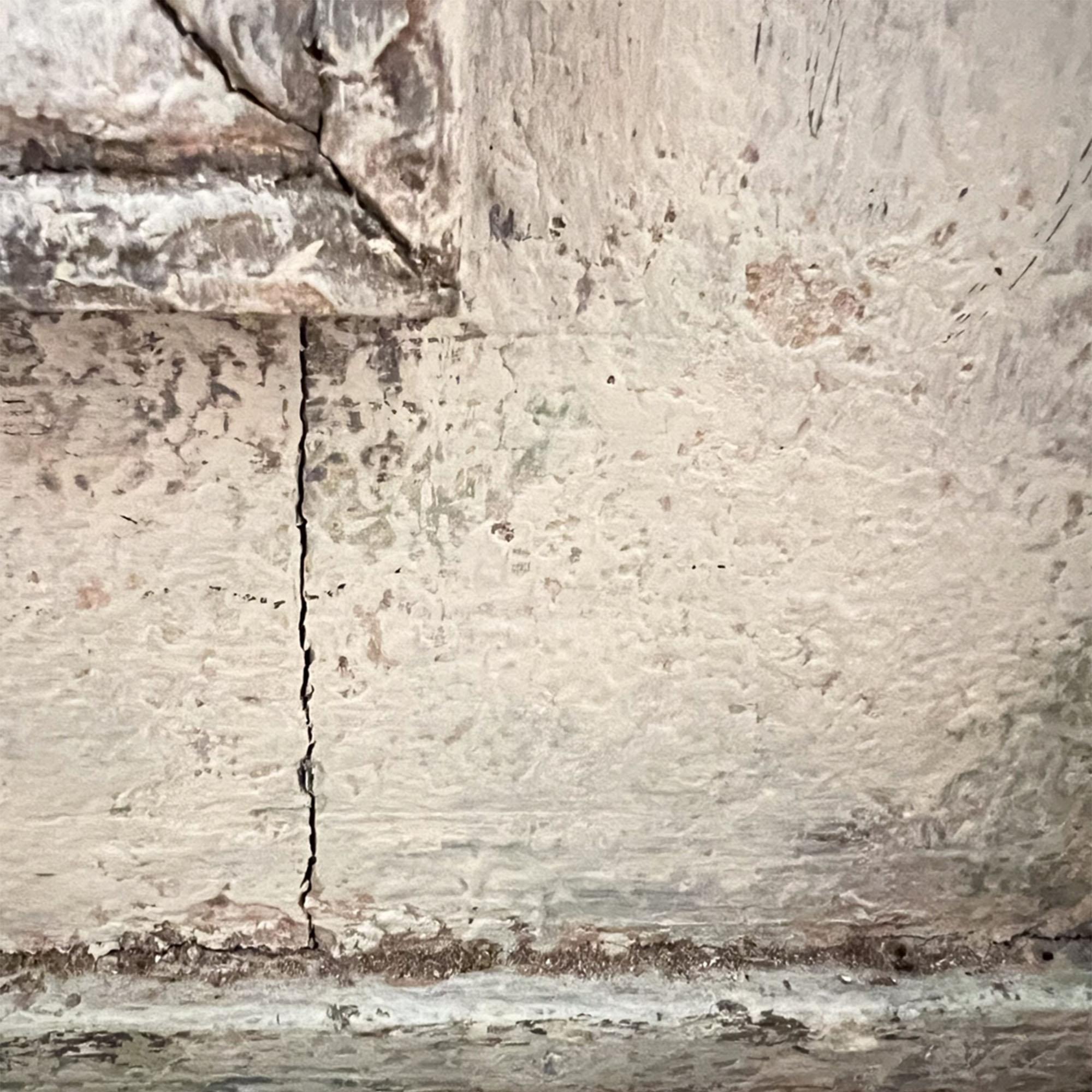 Stile provenzale Specchio dipinto francese del XIX secolo con placca originale in vendita