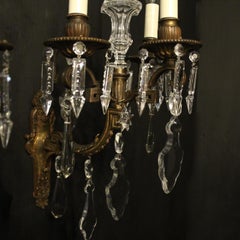 French 19th Century Pair of Gilded Bronze Triple Arm Wall Sconces