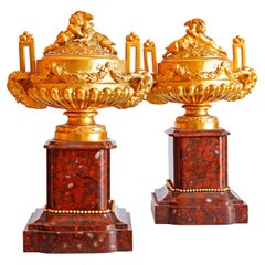 French 19th century pair of Napoleon III ormulu and rouge griotte marble urns