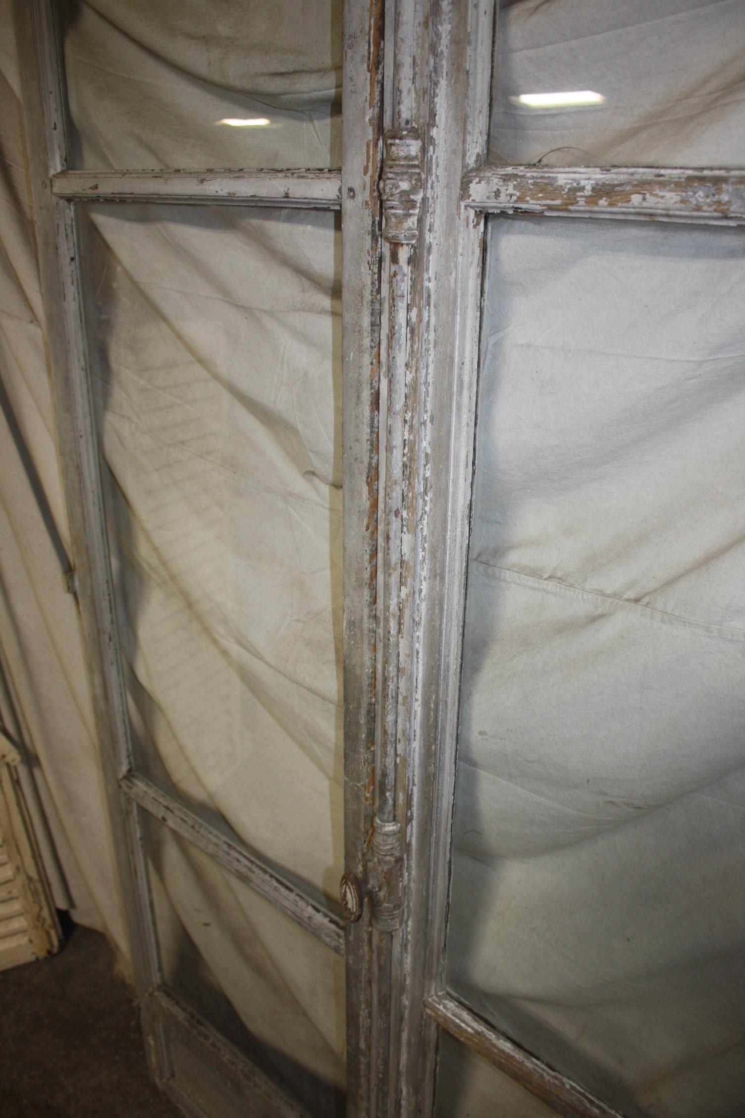 French 19th Century Pair of Painted Doors 9