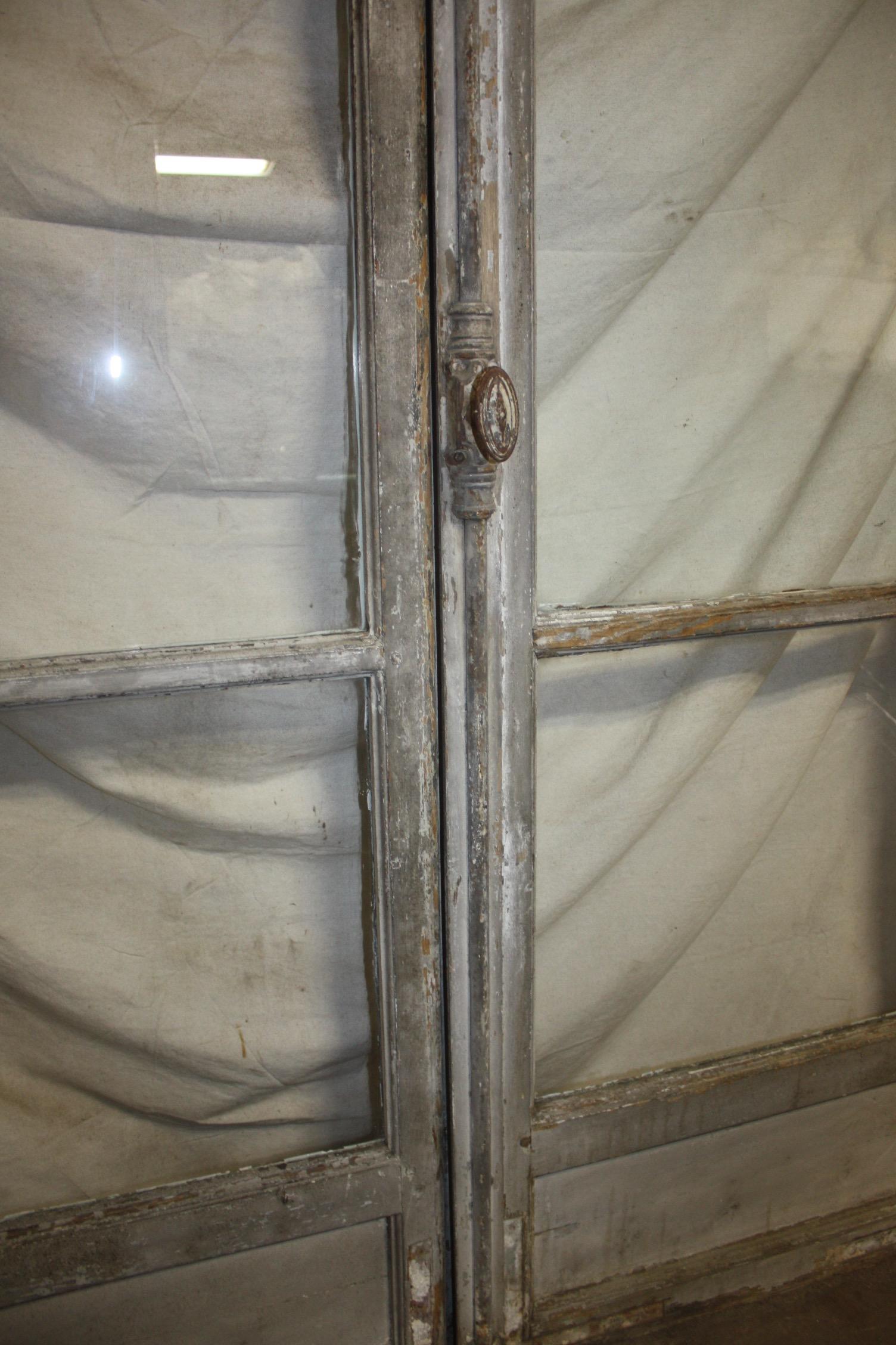 French 19th Century Pair of Painted Doors 10